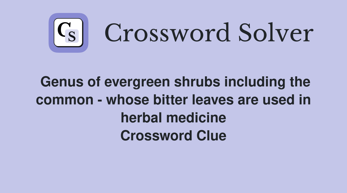 Genus of evergreen shrubs including the common whose bitter leaves